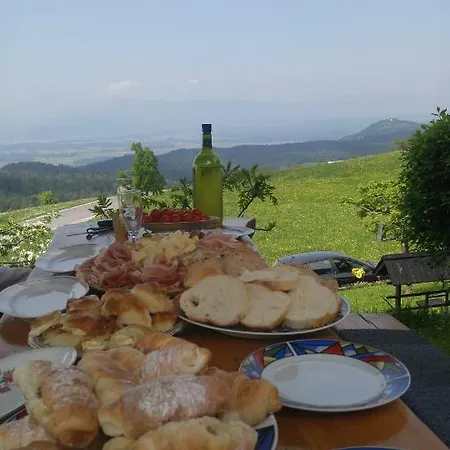 Perfect View Mountain House